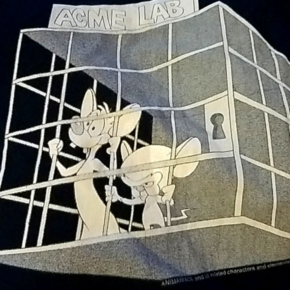 Pinky and The Brain tank top
